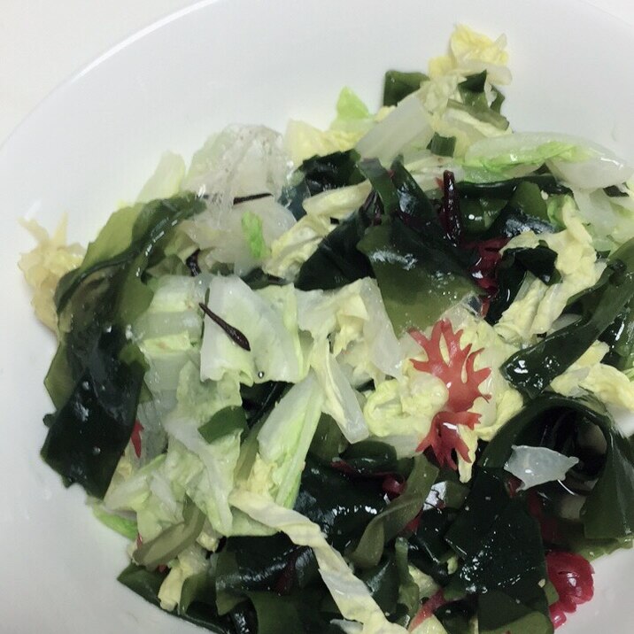 白菜と海藻のサラダ